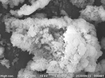 SEM001