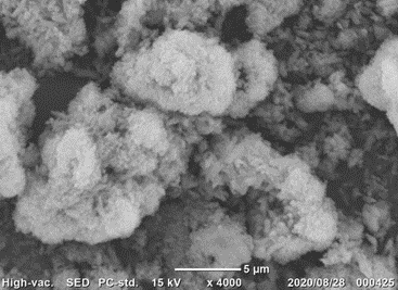 SEM001