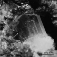 Terranovaite